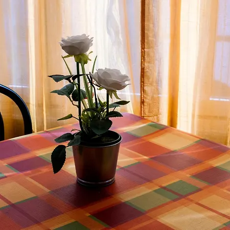 Hotel Cesari Rimini